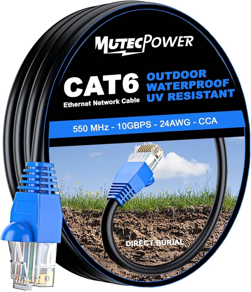 Cat 6 20'