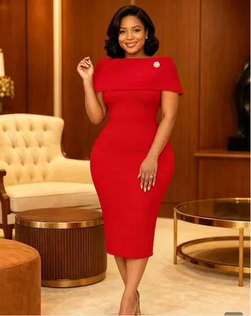 Robe Fourreau Mi-Longue Élégante Couleur Unie À Col Rabattu Rabattu Chic Et Silhouette Ajustée Pour Femme